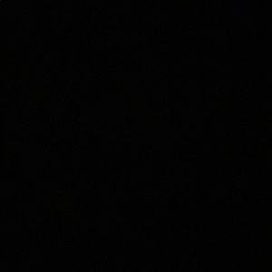 Meet your Posher, Evelyn